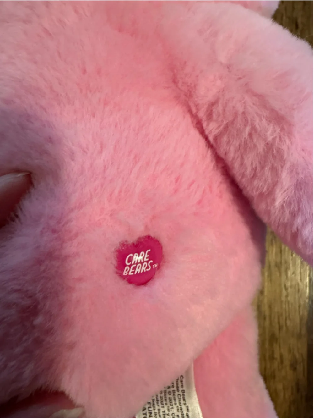 Care Bears Hopeful Heart Bear